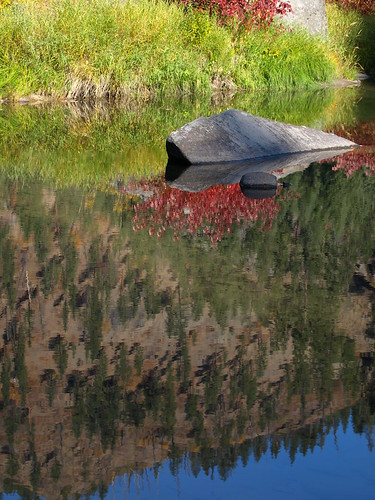 PA250354.JPG