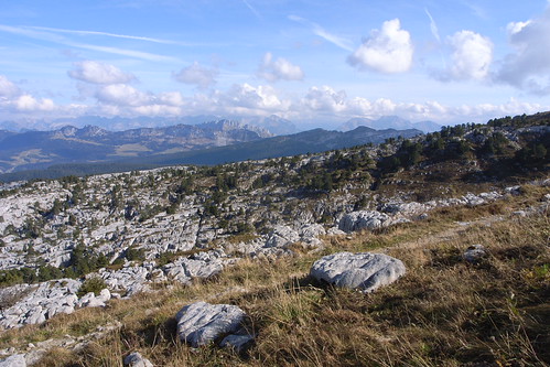 R8060725.JPG