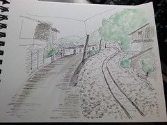 IMAG0163.jpg