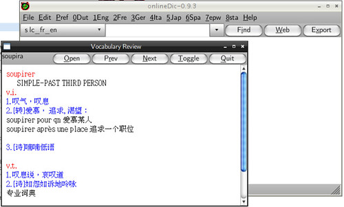 VocReview with explication