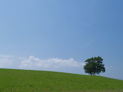 p7135667 (by plateaukao)