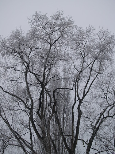 PC250683 (by plateaukao)