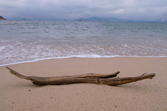 R8075187.JPG