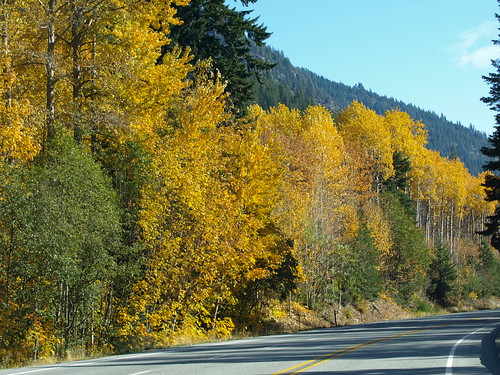 PA250338.JPG