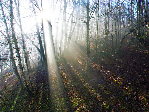 RIMG0006.jpg (by plateaukao)