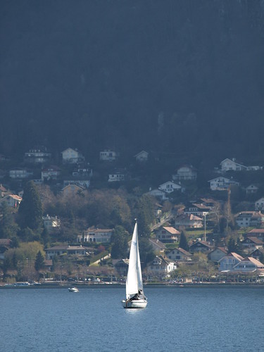 P4134645 (by plateaukao)