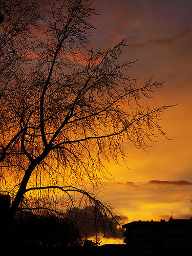 P2060568.jpg (by plateaukao)