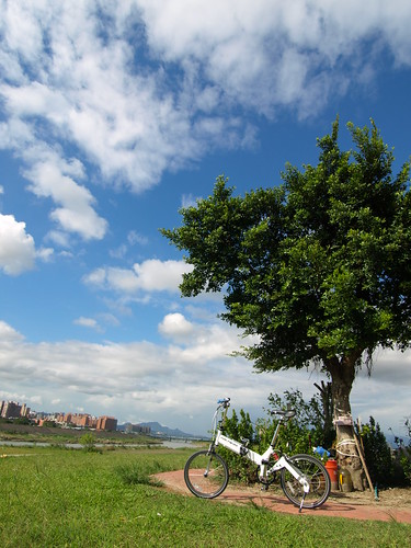 PA107253.JPG