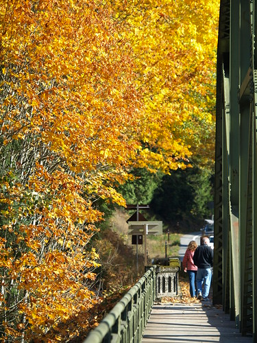 PA250313.JPG
