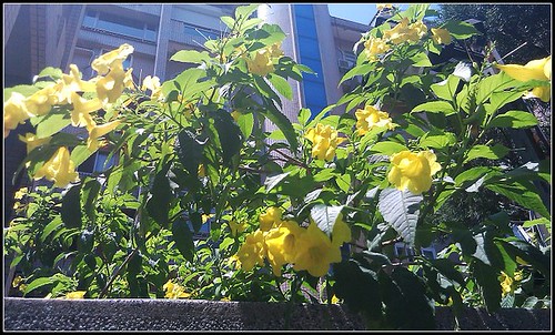 IMAG0660.jpg