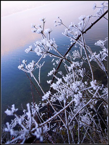 R8069714 (by plateaukao)