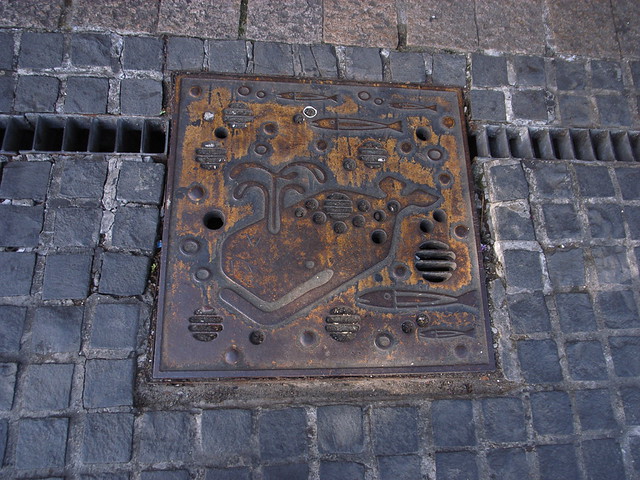 R8059676.JPG