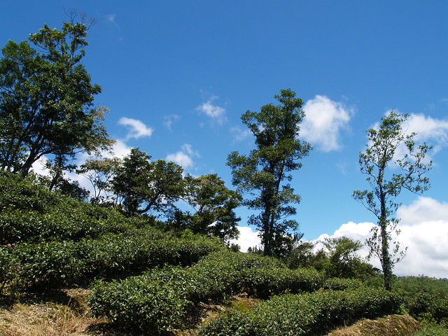 P7290073