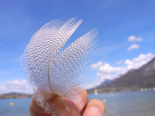 RIMG0113 (by plateaukao)