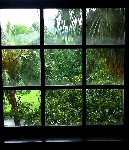 IMAG0090.jpg