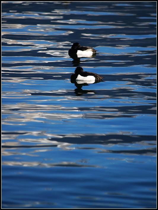 PC291104 (by plateaukao) PC291104 (by plateaukao)
