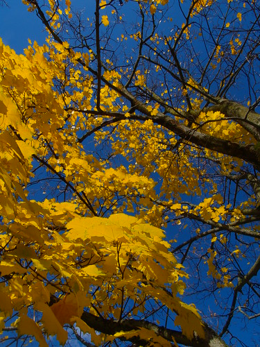 PB124789 (by plateaukao) PB124789 (by plateaukao)