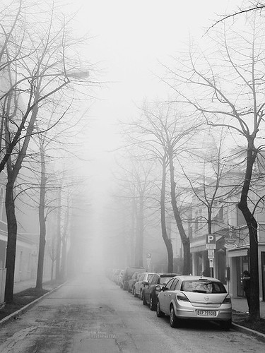 P2242585 (by plateaukao)
