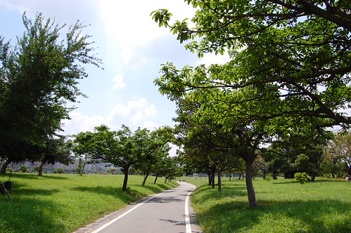 DSC_0884 (by plateaukao)