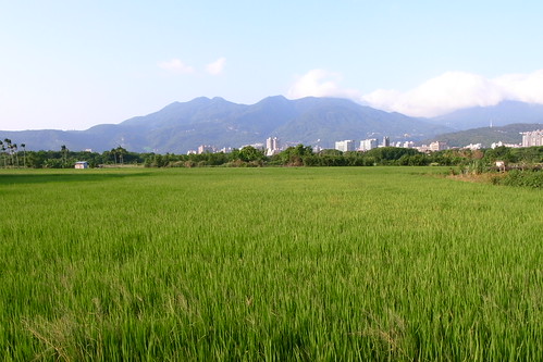 R8075885.JPG