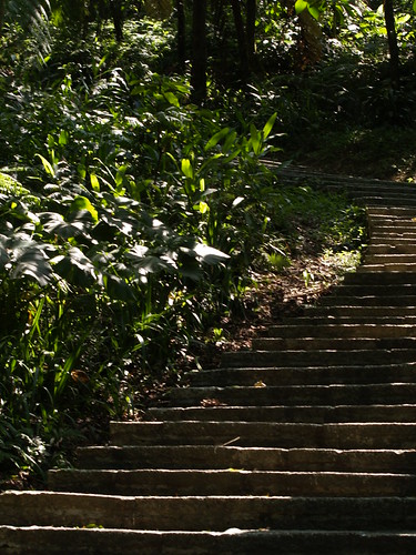 p5011133
