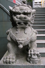 R8075433.JPG (by plateaukao)