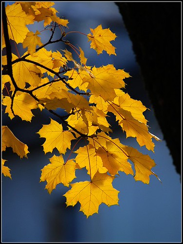 PB124783 (by plateaukao)