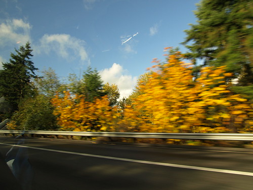 PB020490.JPG (by plateaukao)