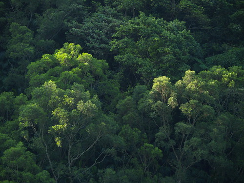 P9253159.JPG