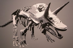 R8080727