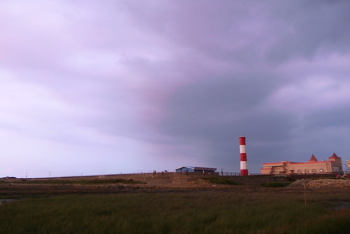 R8080811