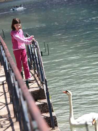 P4194754 (by plateaukao) P4194754 (by plateaukao)