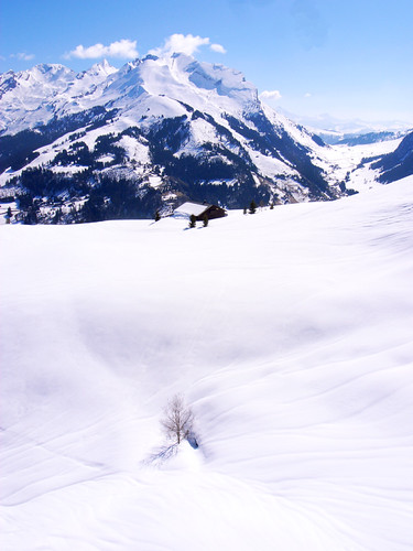 rimg0093 (by plateaukao)