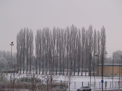 PC240388 (by plateaukao) PC240388 (by plateaukao)