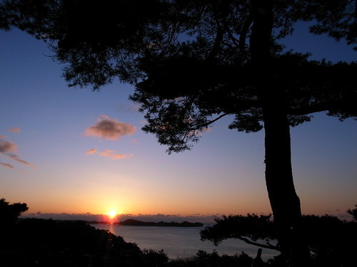 R8072896 (by plateaukao)