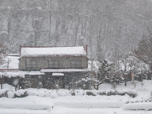 P1011074 (by plateaukao) P1011074 (by plateaukao)
