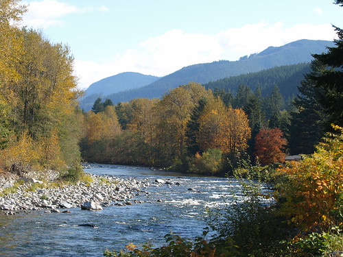 PA250315.JPG