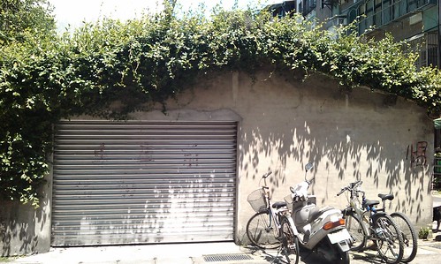 IMAG0119 (by plateaukao) IMAG0119 (by plateaukao)