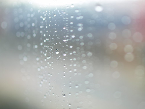 P5015184 (by plateaukao) P5015184 (by plateaukao)